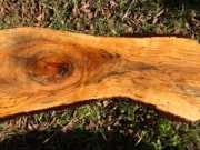 Curved Pecan Coffee Table